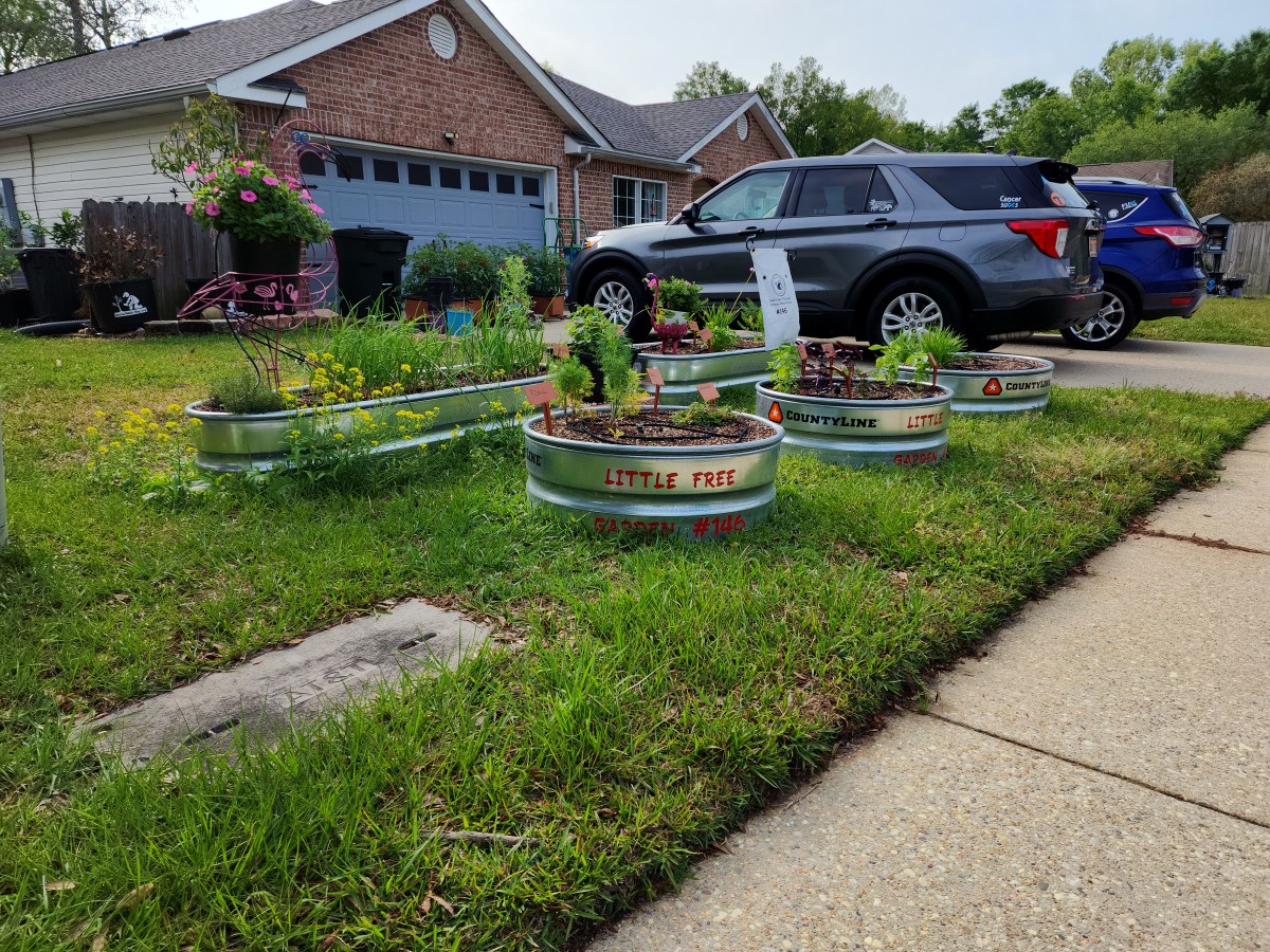 Urban Farming Made Easy: Small Space Gardening&nbsp;Tips