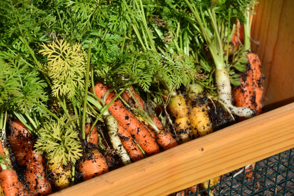 How to Incorporate Local Food into Your Daily&nbsp;Meals