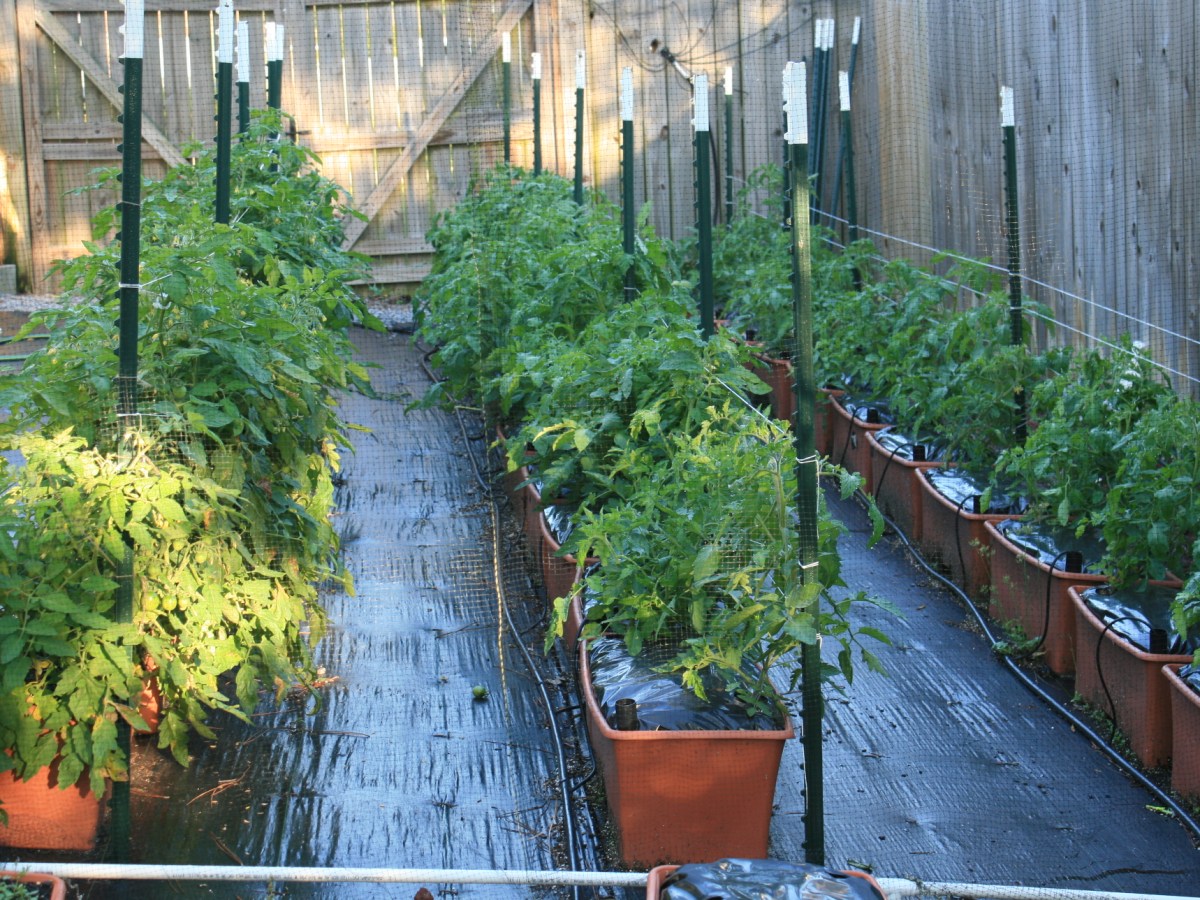 Urban Nano Farm: Grow Food in Small&nbsp;Spaces