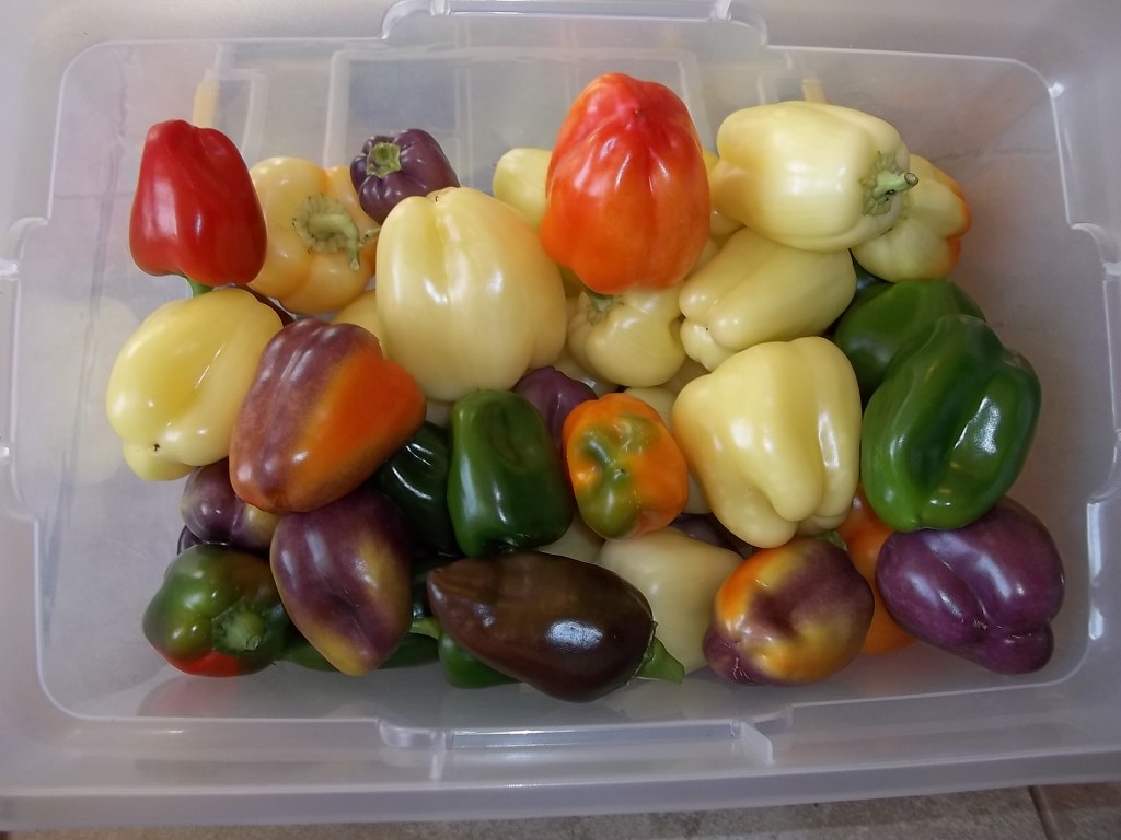 Tips for Perfect&nbsp;Peppers