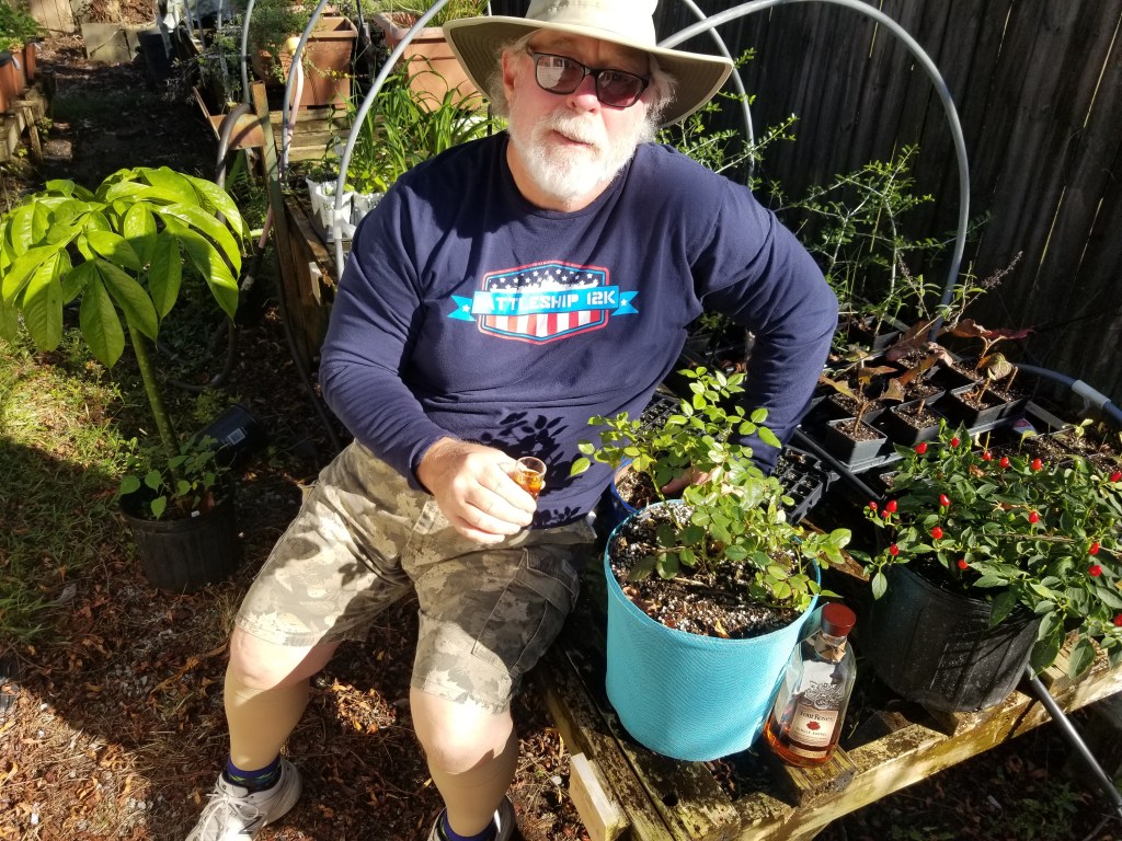 A gardener sitting in a sunny backyard, holding a drink and surrounded by potted plants, including a rose bush in a blue pot and various other plants.