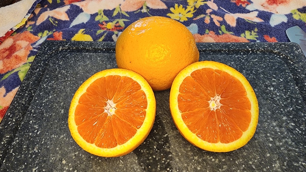 My New Citrus Obsession: Cara Cara&nbsp;Oranges