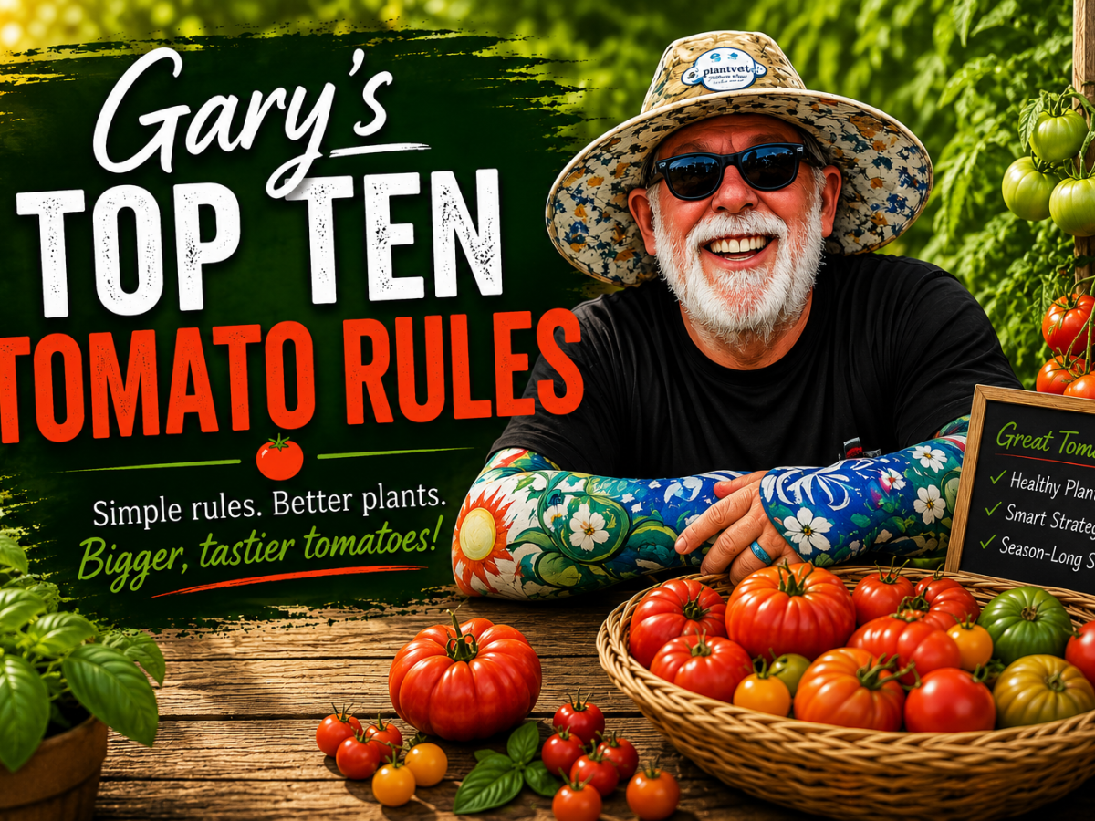 Gary’s 10 Non- Negotiable Rules for Growing Tomatoes in&nbsp;Containers